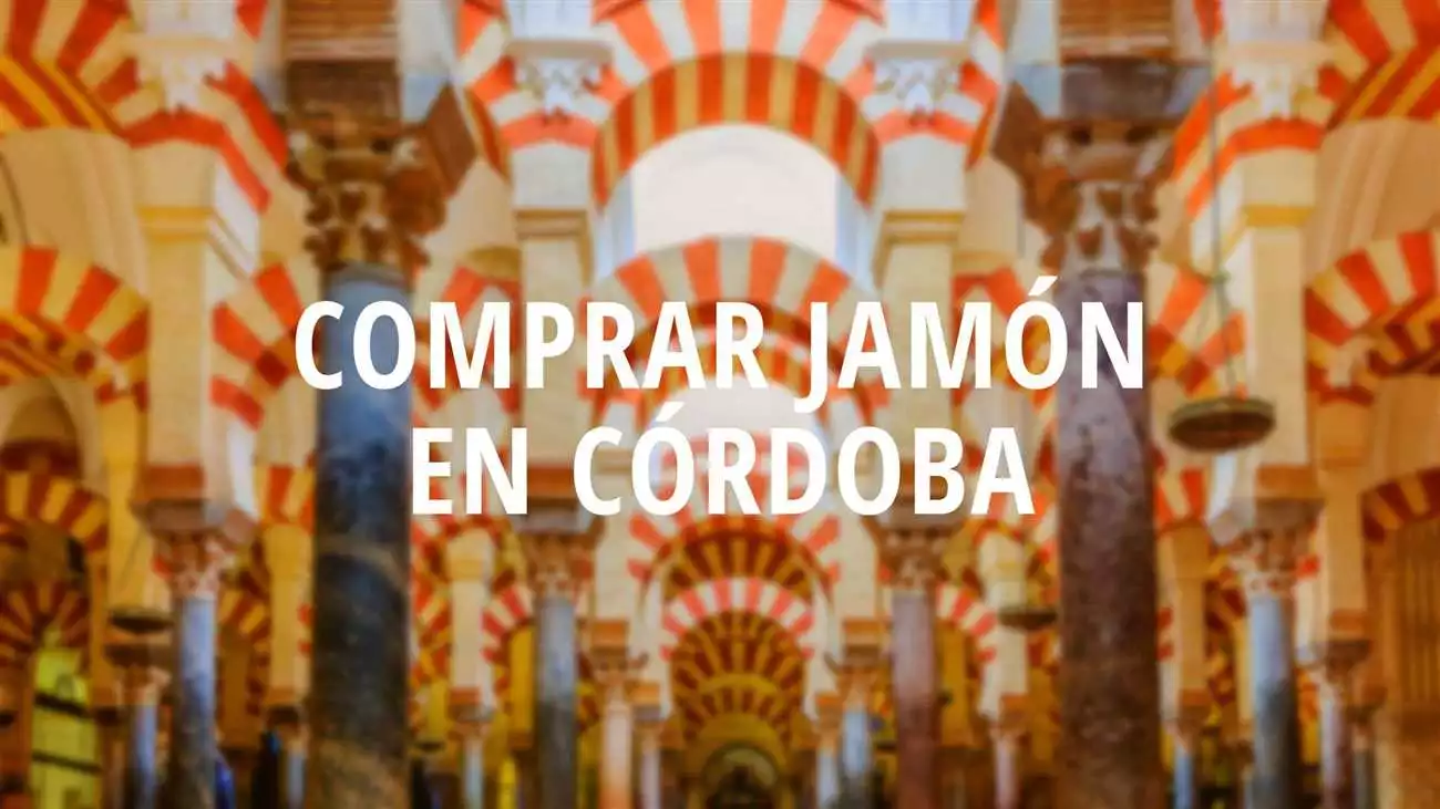 Compra Diatea en Córdoba – Encuentra las mejores opciones
