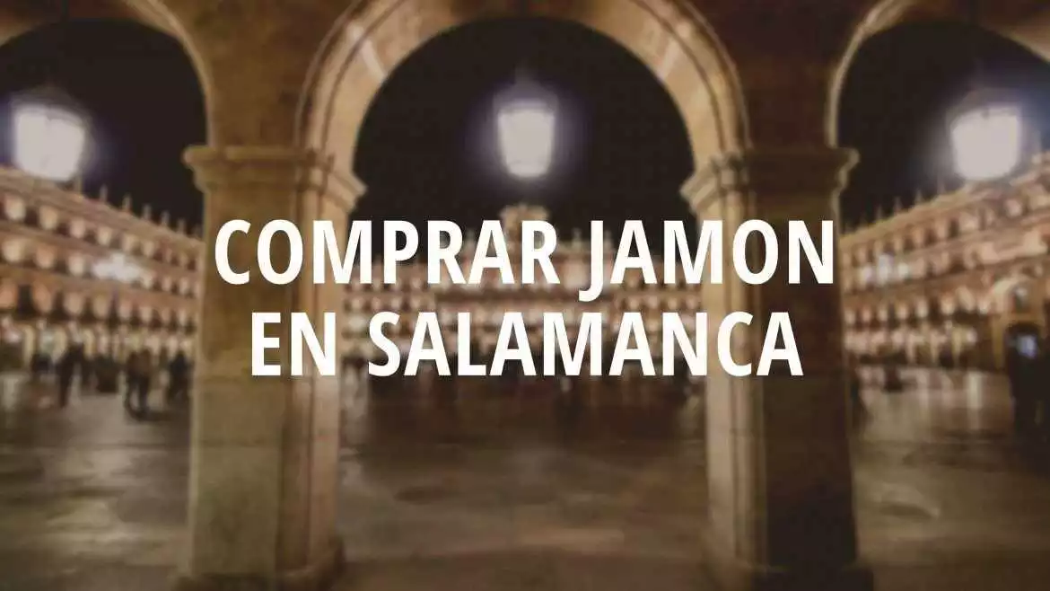 Precio de Diatea en Salamanca: Qué saber antes de comprar